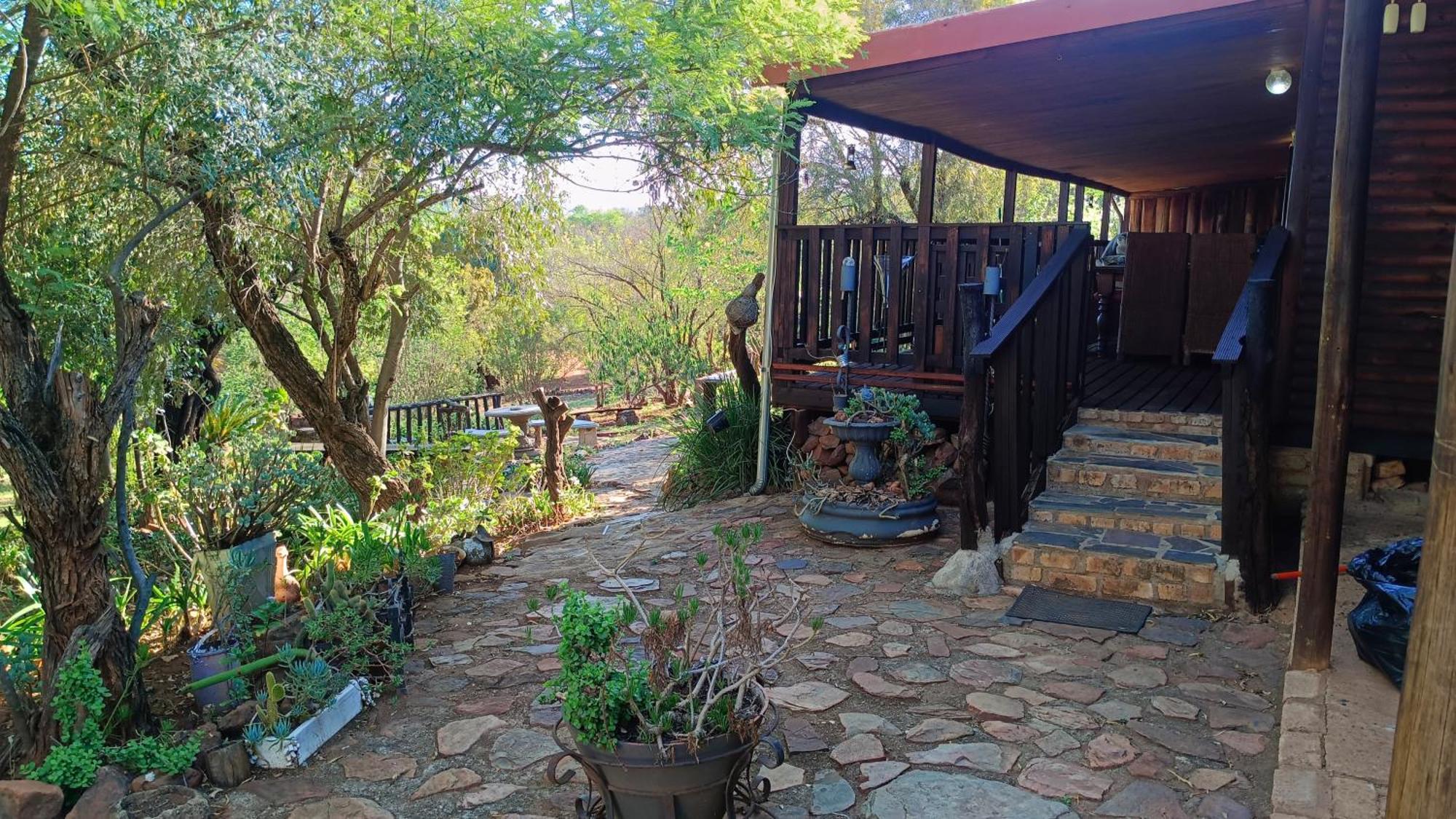 Koinonia Bush * Hartbeespoort